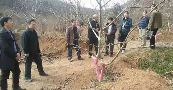 mmexport1544019256485