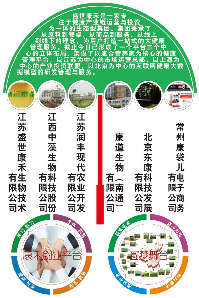 说明: 公司结构图2018