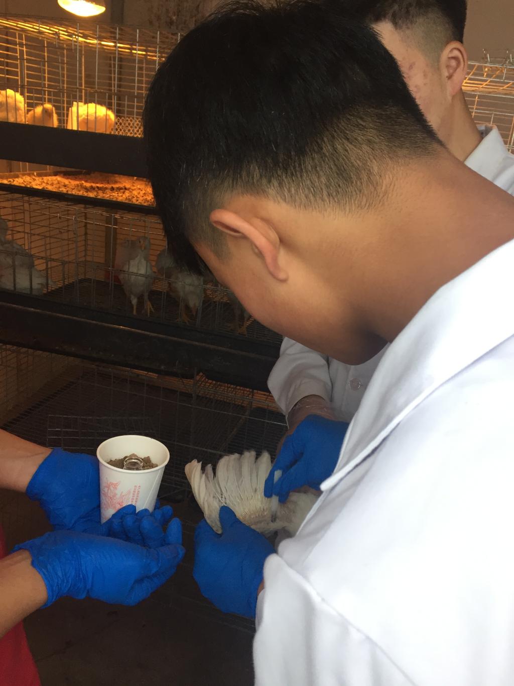 1E5C88A5246CF1F3C3E27757FAB155DA