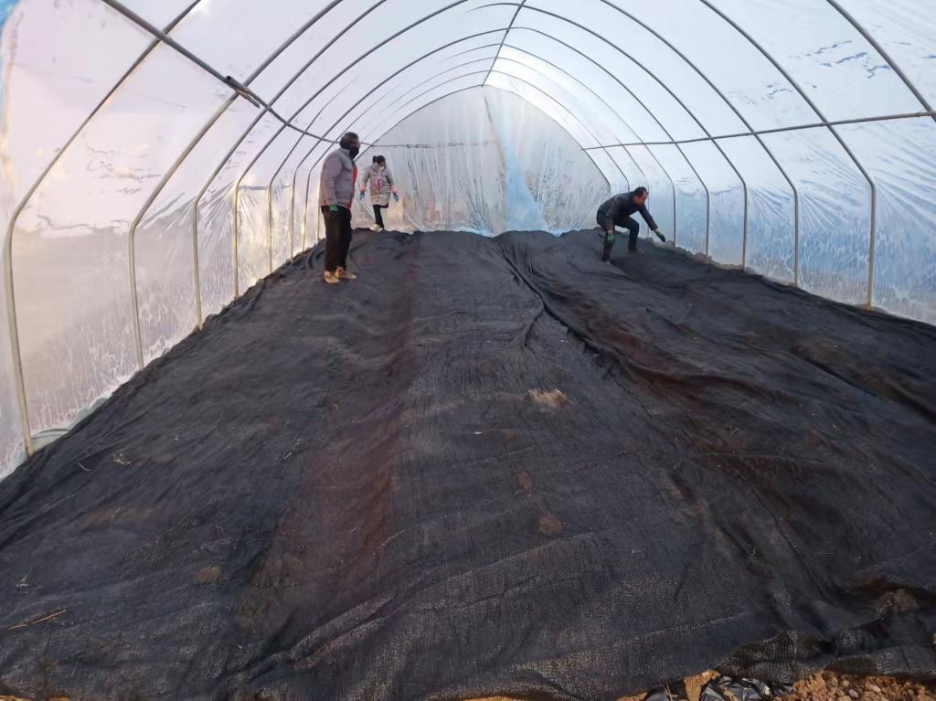 CE77FD9423DC5A876B85EA0E2B8908C6