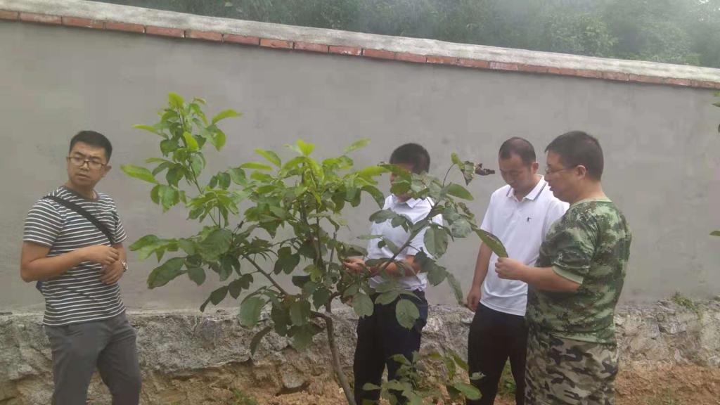 mmexport1572506728679