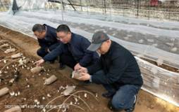 mmexport1647849176715